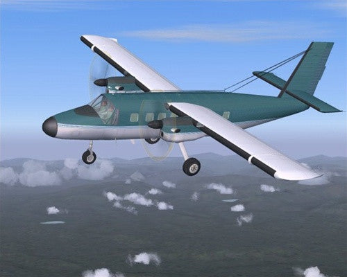 Flight Simulator Repaint - Excalibur
 - 1